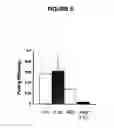 Fig. 09 - Use of amprenavir as a radiation sensitizer
