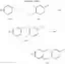 Fig. 09 - Tricyclic delta-opioid modulators