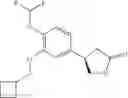 Fig. 59 - Phosphodiesterase 4 inhibitors