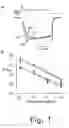 Fig. 02 - Human N-type calcium channel isoform and uses thereof