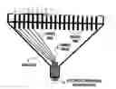 Fig. 01 - Multielectrode array and system for recording and analyzing data or for stimulating tissue