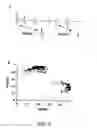 Fig. 06 - Multielectrode array and system for recording and analyzing data or for stimulating tissue