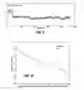 Fig. 08 - Identification of a dominant signal component in a biosignal