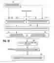 Fig. 09 - Identification of a dominant signal component in a biosignal