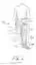 Fig. 06 - Lymphedema treatment system