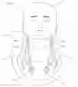 Fig. 02 - Forward head posture correction collar