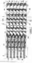 Fig. 03 - Pelvic brace