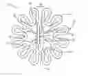 Fig. 01 - Closure device