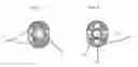 Fig. 03 - Peek a boo pacifier