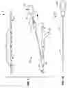 Fig. 02 - Coiled stent delivery system and method
