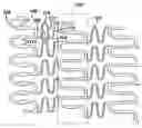 Fig. 01 - Longitudinal design and improved material for flexible connectors in high strength, high flexibility, controlled recoil stent