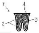 Fig. 01 - Biodegradable biocompatible implant