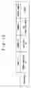 Fig. 14 - Duplicate synchronization system and method of operating duplicate synchronization system