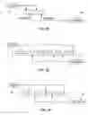 Fig. 05 - Apparatus, system, and method for generating and authenticating a computer password