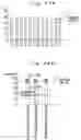 Fig. 49 - Component mounting apparatus, service providing device and servicing method