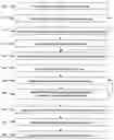 Fig. 01 - Webcrawl internet security analysis and process