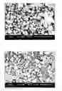Fig. 01 - Copper flake powder, method for producing copper flake powder, and conductive paste using copper flake powder