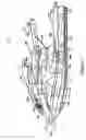 Fig. 02 - Small planing watercraft