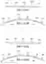 Fig. 19 - Method for making reinforced elastomeric materials