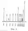Fig. 04 - Polymers for separation of biomolecules by capillary electrophoresis