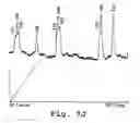 Fig. 19 - Polymers for separation of biomolecules by capillary electrophoresis