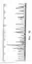 Fig. 26 - Polymers for separation of biomolecules by capillary electrophoresis