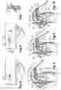Fig. 04 - Device for packaging and dispensing a product