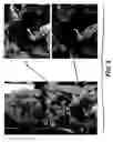 Fig. 06 - Color printer calibration