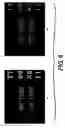 Fig. 07 - Color printer calibration