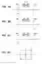 Fig. 07 - Image display apparatus