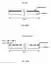 Fig. 20 - Variable transmittance optical element and imaging optical system including the same arranged at distal end of an endoscope