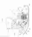 Fig. 43 - Multifunction timepiece capable of constituting plural fan shape moving hand train wheel layouts