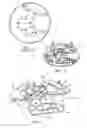 Fig. 02 - Flexible bridge for a watch module