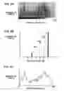 Fig. 08 - Image processing apparatus, image processing method, and image processing program