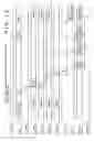 Fig. 12 - Method and apparatus for correcting motion distortion and lens distortion of image-taking video signals