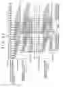 Fig. 20 - Method and apparatus for correcting motion distortion and lens distortion of image-taking video signals