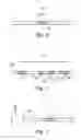 Fig. 02 - Random refractive index modulated optical fibers