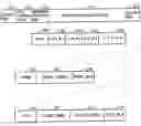 Fig. 01 - Information recording apparatus and information recording method