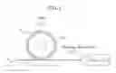 Fig. 02 - Cleaning blade member and method for producing the same