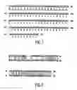 Fig. 02 - Chemokine beta-7 variants