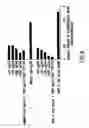 Fig. 08 - Chemokine beta-7 variants