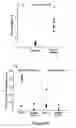 Fig. 12 - Central airway administration for systemic delivery of therapeutics