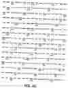 Fig. 06 - Recombinant adenoviral vectors and methods of use