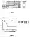 Fig. 03 - Methods for enhancing engraftment of purified hematopoietic stem cells in allogeneic recipients