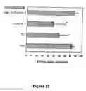 Fig. 08 - Methods for enhancing engraftment of purified hematopoietic stem cells in allogeneic recipients