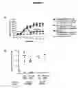 Fig. 08 - Regeneration initiating cells