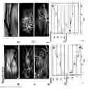 Fig. 02 - Repairing or replacing tissues or organs