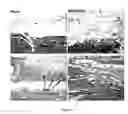 Fig. 02 - Methods and compositions for treating congestive heart failure