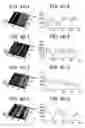 Fig. 05 - Bioartificial device for propagation of tissue, preparation and uses thereof