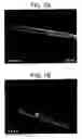 Fig. 08 - Bioartificial device for propagation of tissue, preparation and uses thereof